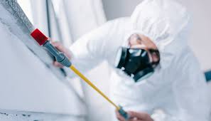 Best Fumigation Services  in Ingram, TX